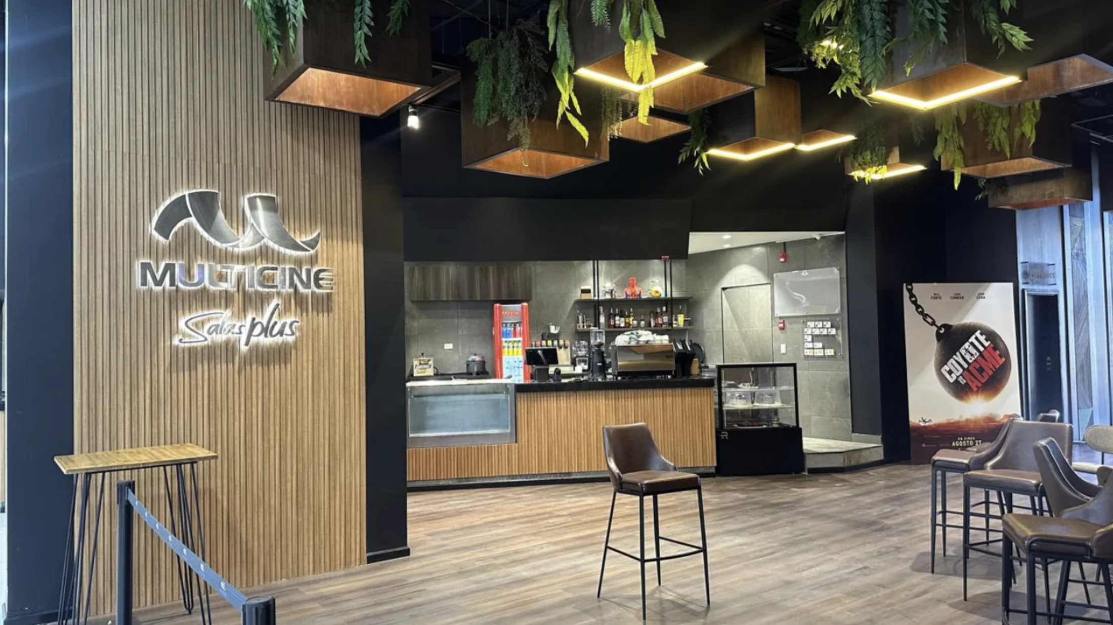 Multicine Plaza 21